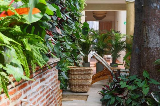 Casa Jaguar: Facilities