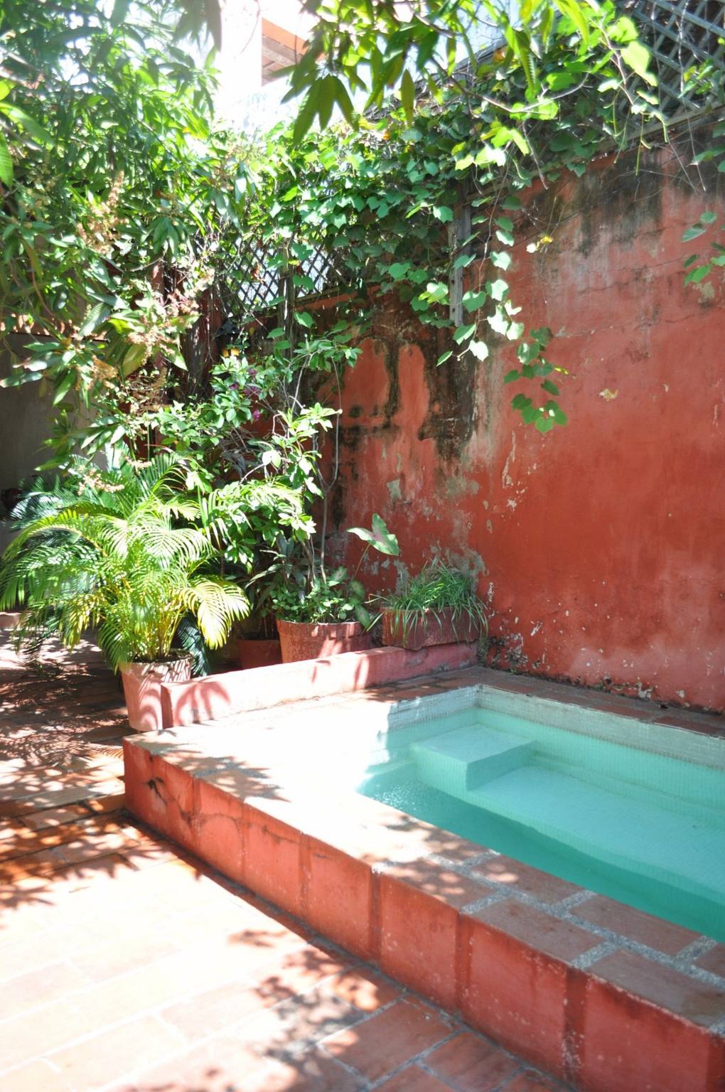 Casa Peter: photo 2
