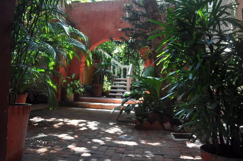 Casa Peter: photo 3