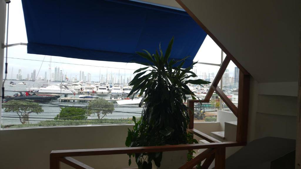 Casa Ramona: Property views
