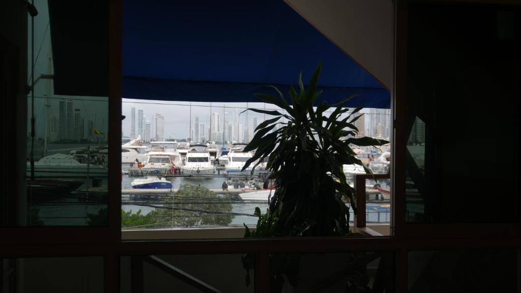 Casa Ramona: Property views