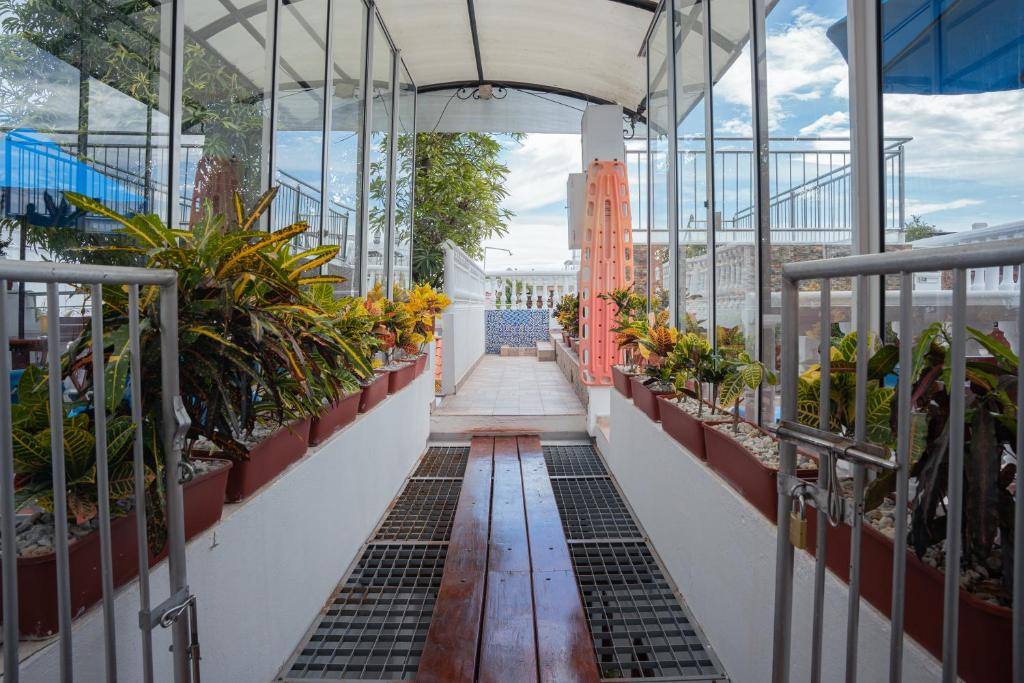 Hotel 3 Banderas: Property views