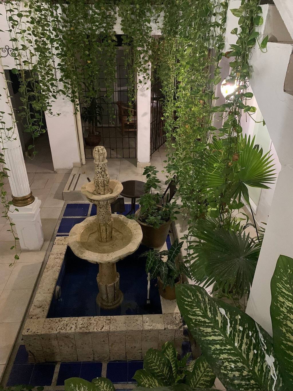 Hotel Boutique At The Park: photo 6