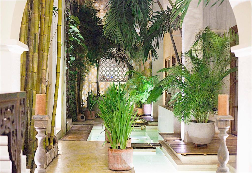 Hotel Casa Lola Deluxe Gallery: Lobby