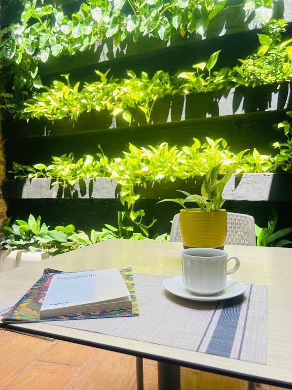 Hotel Galeria La Trinidad: Property views