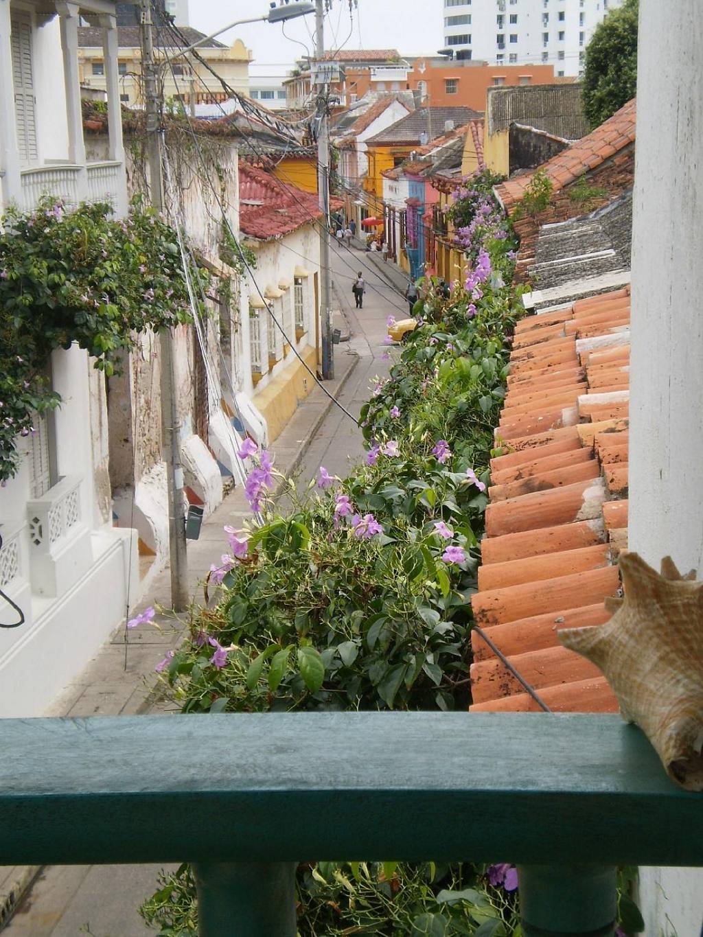 Nativa Cartagena: photo 2