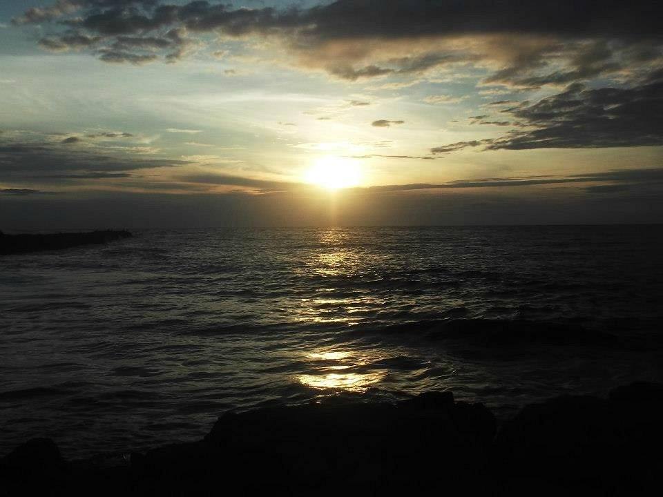 Nativa Cartagena: photo 4