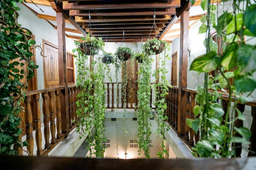 Scalea Di Mare Hotel: Balcony/terrace